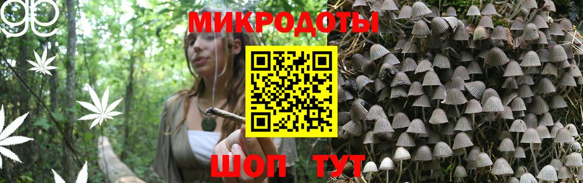 Галлюциногенные грибы Psilocybine cubensis  Вход с VPN  Лосино-Петровский 